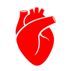 Cardiaque